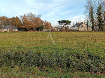 terrain à Guémené-Penfao (44)