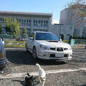 インプレッサ WRX STI GDB