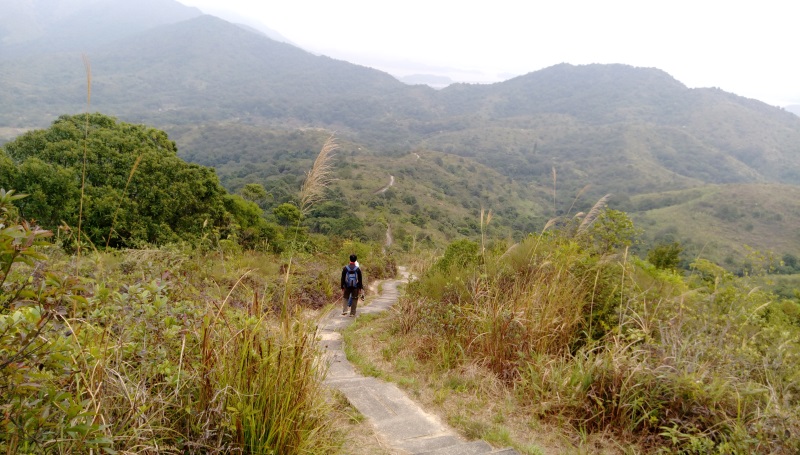 九龍坑山