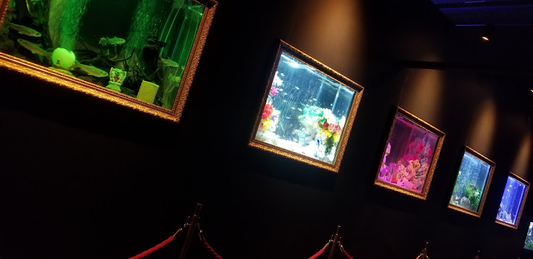 86のドライブ・水族館・洗車・雪と愛車に関するカスタム事例の投稿画像21枚目