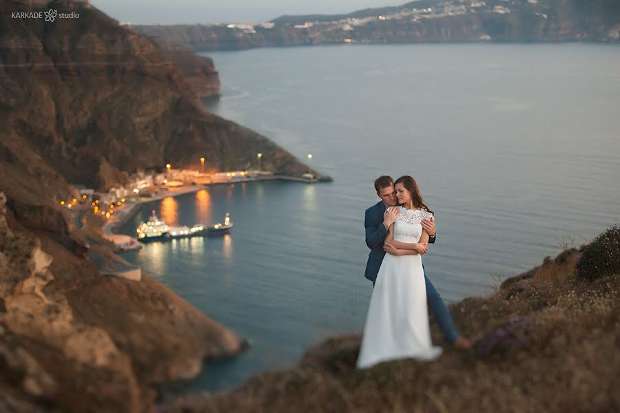 Wedding photographer Svetlana Stavceva (karkadestudio). Photo of 3 January 2016