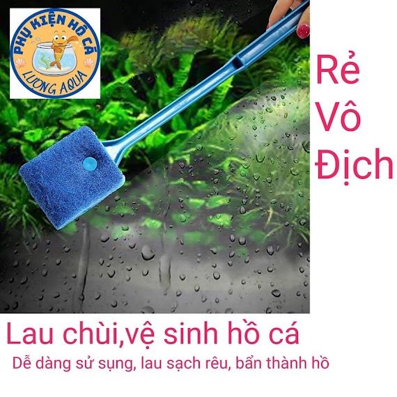 Cây Lau Chùi Hồ Cá, Dụng Cụ Vệ Sinh Hồ Cá Cảnh, Tép, Thủy Sinh, Phụ Kiện Cá Cảnh