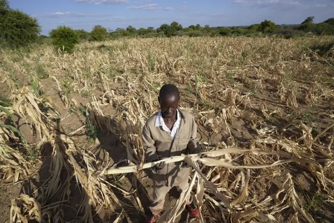 Zbog ekstremnih vremenskih prilika više od 20 miliona ljudi suočeno sa glađu na jugu Afrike