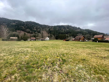 terrain à Ban-sur-Meurthe-Clefcy (88)