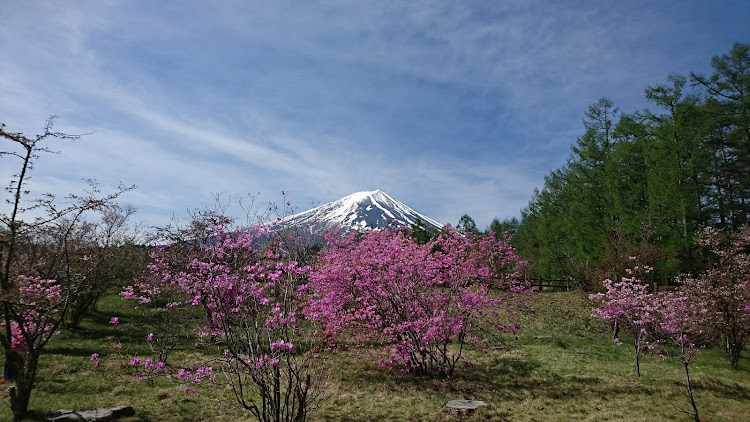 の投稿画像3枚目