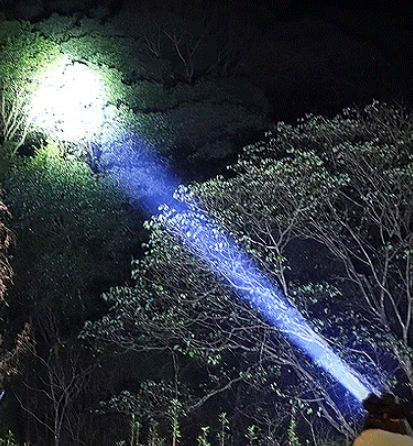 miniatures image - 2