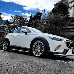 CX-3 DKEFW