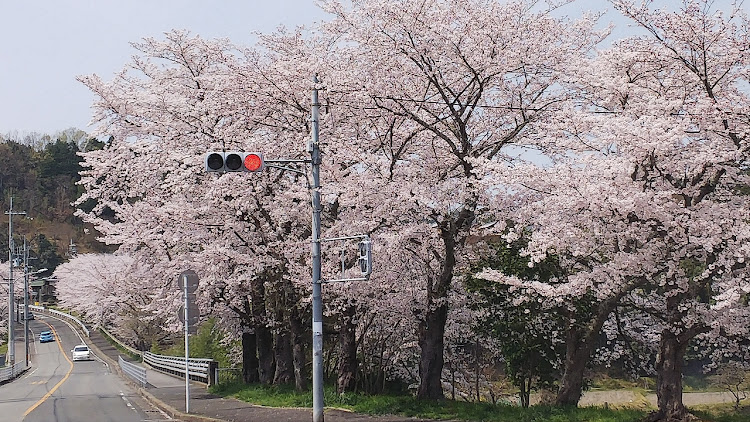 の投稿画像2枚目