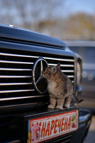 Vestuvių fotografas Sergey Bebko (neko). Nuotrauka 2020 kovo 16