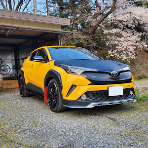 C-HR NGX50