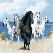 Horse Wallpapers  Icon