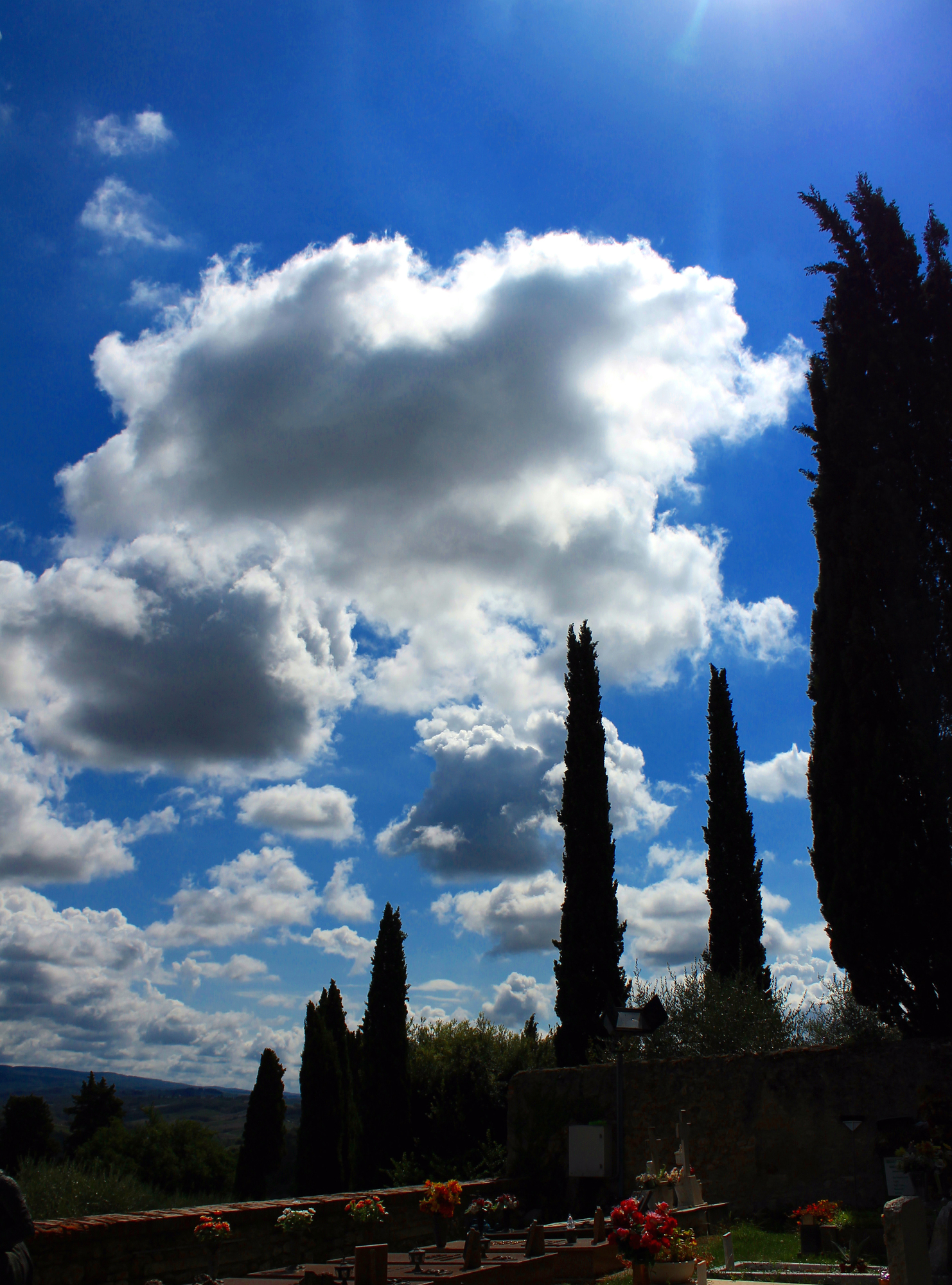 all'ombra dei cipressi e dentro l'urne di fremorgan