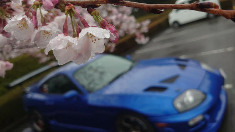 スープラの桜とコラボに関するカスタム事例の投稿画像1枚目