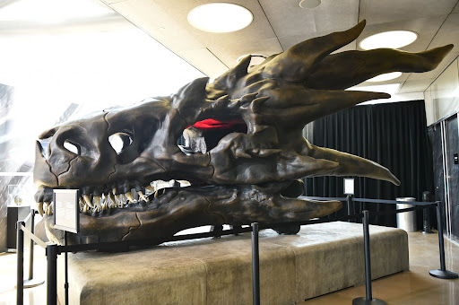 'House of the Dragon', which arrives more than three years after the last episode of 'Game of Thrones' caused a crash on HBO Max for some users.