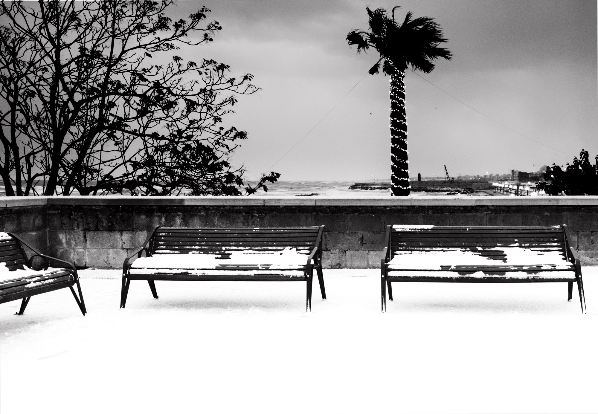 Nevicata vista mare di Miki Sarace