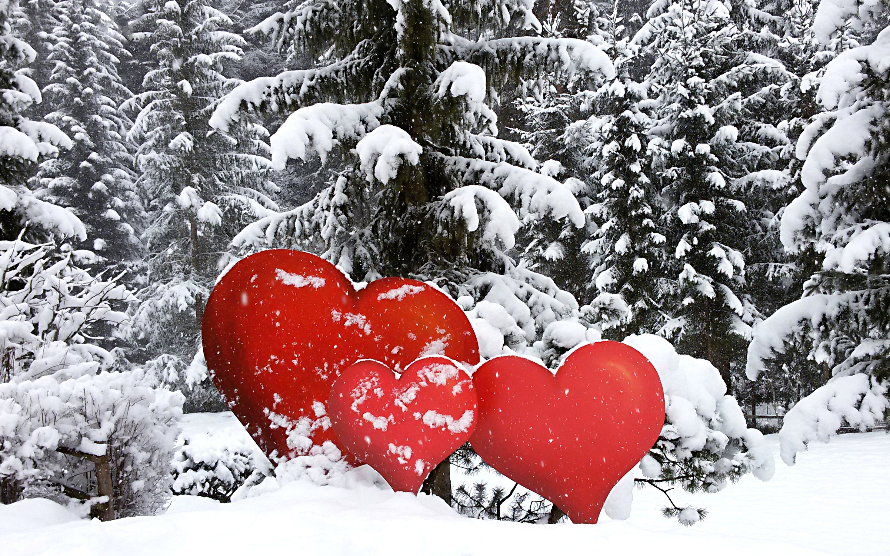 Snow love di Dariagufo