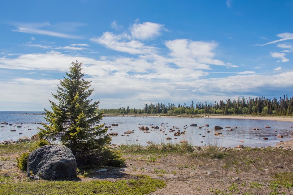 zweeds-lapland-in-de-zomer