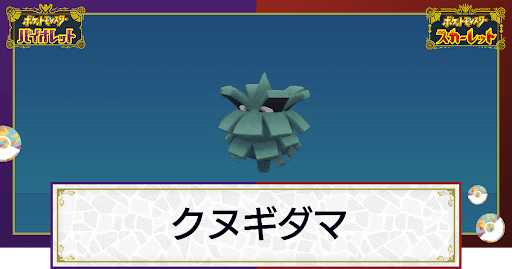 スーパーセール期間限定 クヌギダマ ぬいぐるみ Www Nihongakko Edu Py Www Nihongakko Edu Py