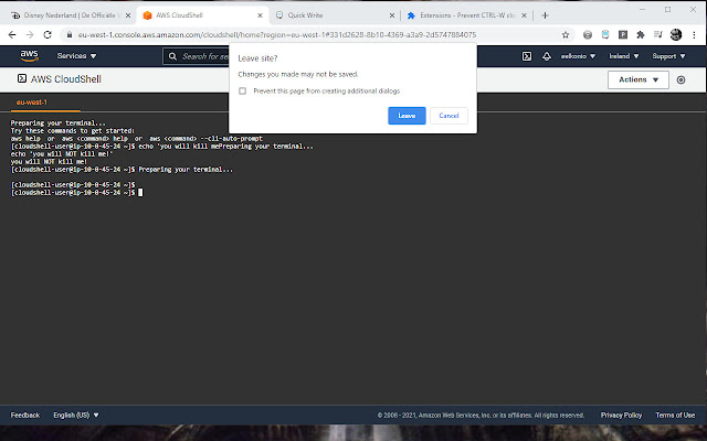 AWS CloudShell prevent CTRL-W close chrome extension