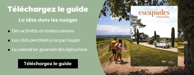 Téléchargez le guide