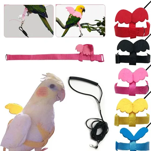 Long Cable Bird Harness Leash Anti-Bite Training Rope Decorative Lightweight Parakeet Parrot Vest Rope Small Bird Access