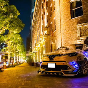 C-HR ZYX10