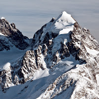 Engadina di Domenico del Rosso