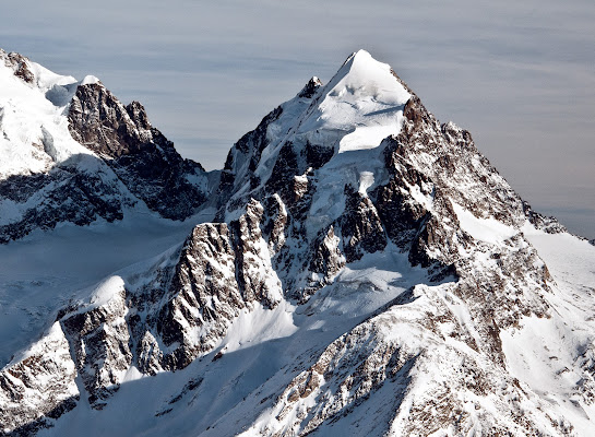 Engadina di Domenico del Rosso