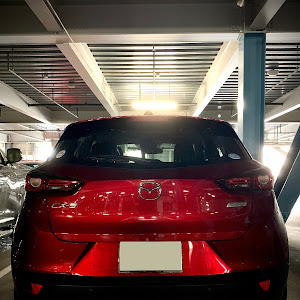 CX-3
