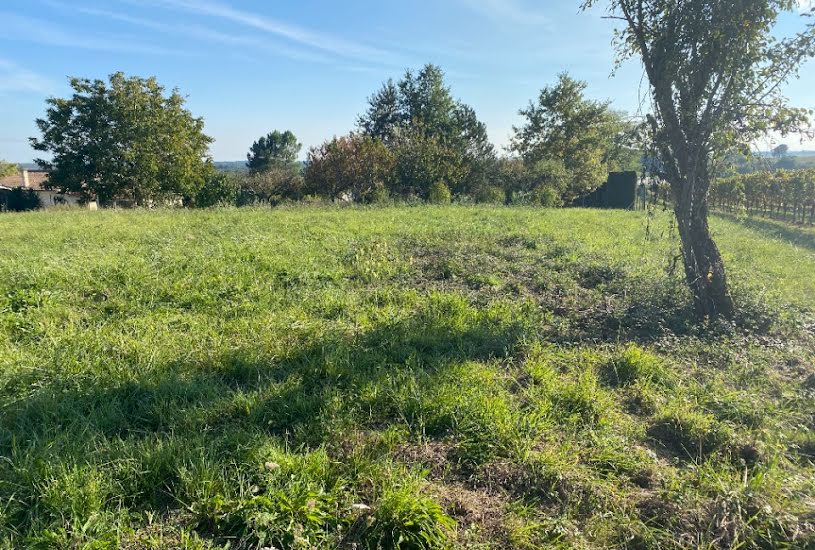  Vente Terrain + Maison - Terrain : 1 371m² - Maison : 64m² à Saint-Magne-de-Castillon (33350) 