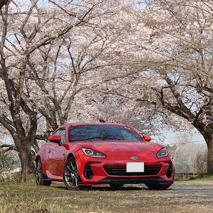 BRZ ZD8