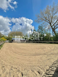 maison à Le Touquet-Paris-Plage (62)