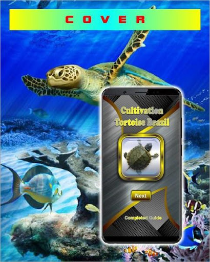 Success of Brazilian Tortoise Cultivation