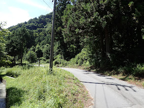 林道出合（右に降りてきた林道）