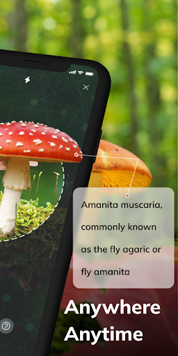 Screenshot MushroomAI: Fungi ID & Guide