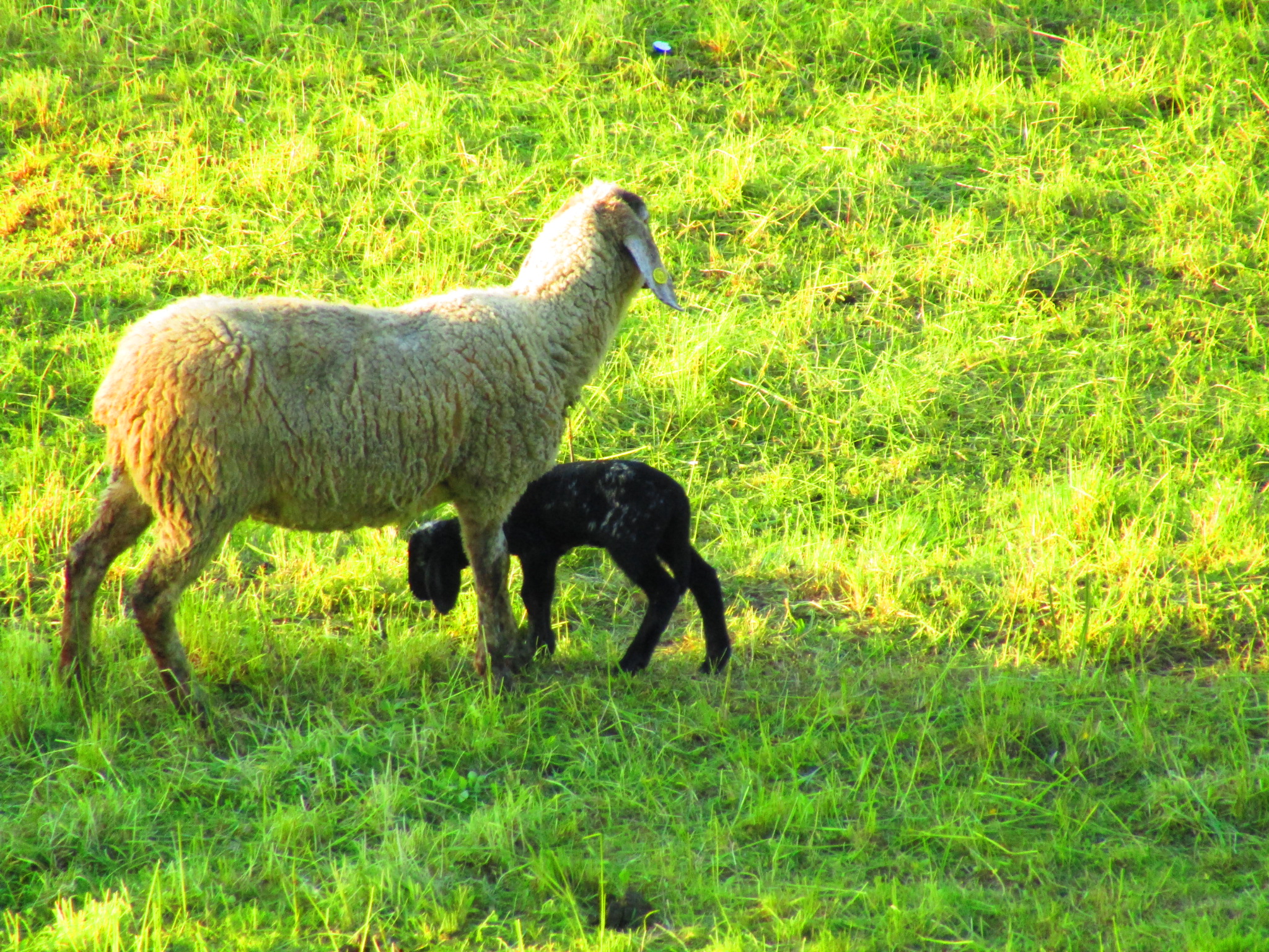 Mother and son di Danny_Skylix