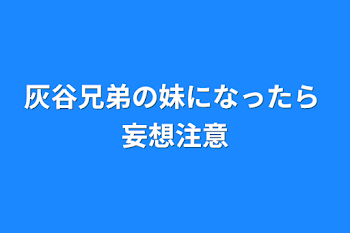 灰谷兄弟の妹になったら   妄想注意