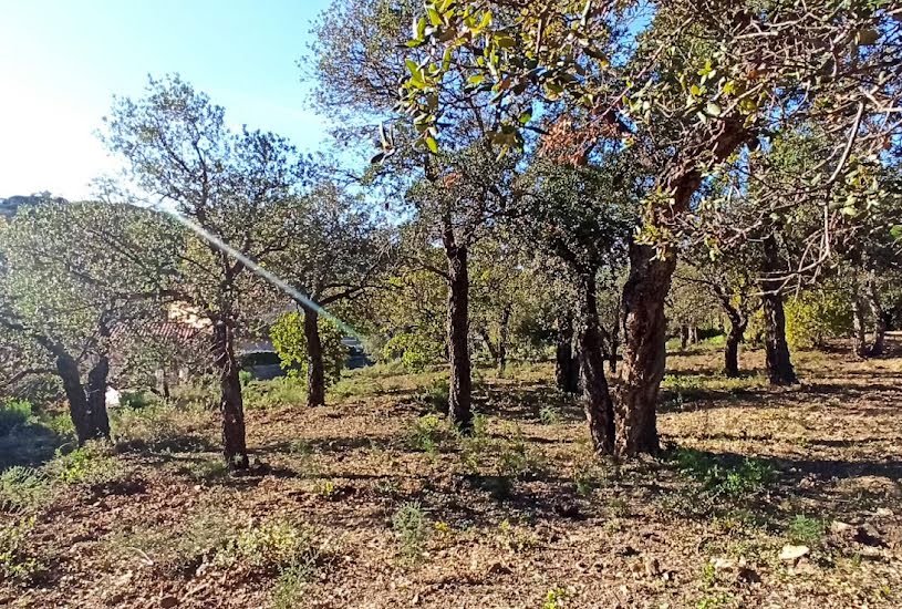  Vente Terrain à bâtir - 1 600m² à Sainte-Maxime (83120) 