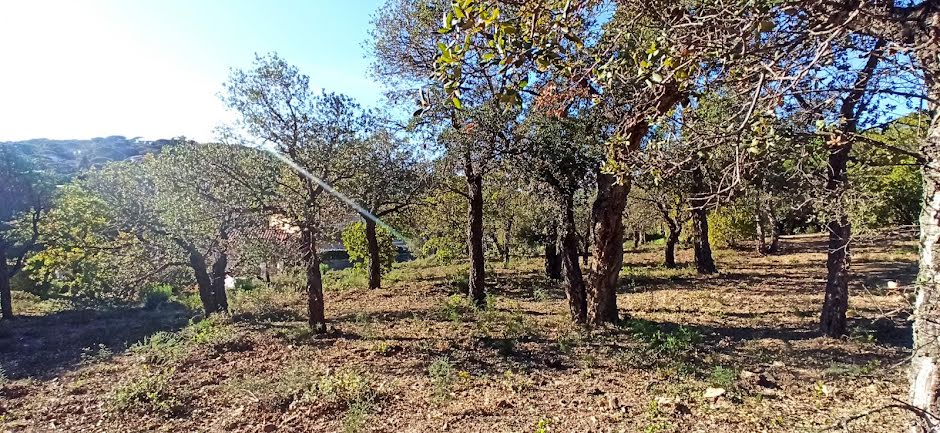 Vente terrain  1600 m² à Sainte-Maxime (83120), 1 050 000 €