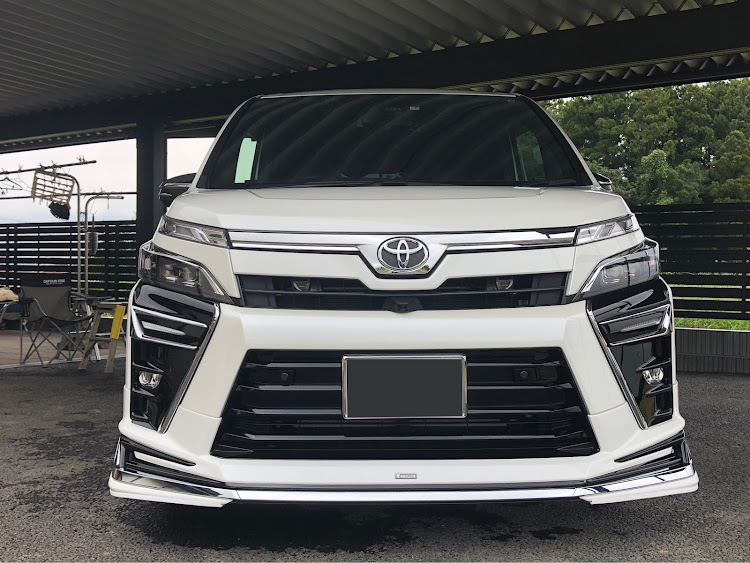 ヴォクシーの早朝洗車・PROVAID・OCメンテナンスクリーナー・洗車変態・本気洗車に関するカスタム事例の投稿画像7枚目