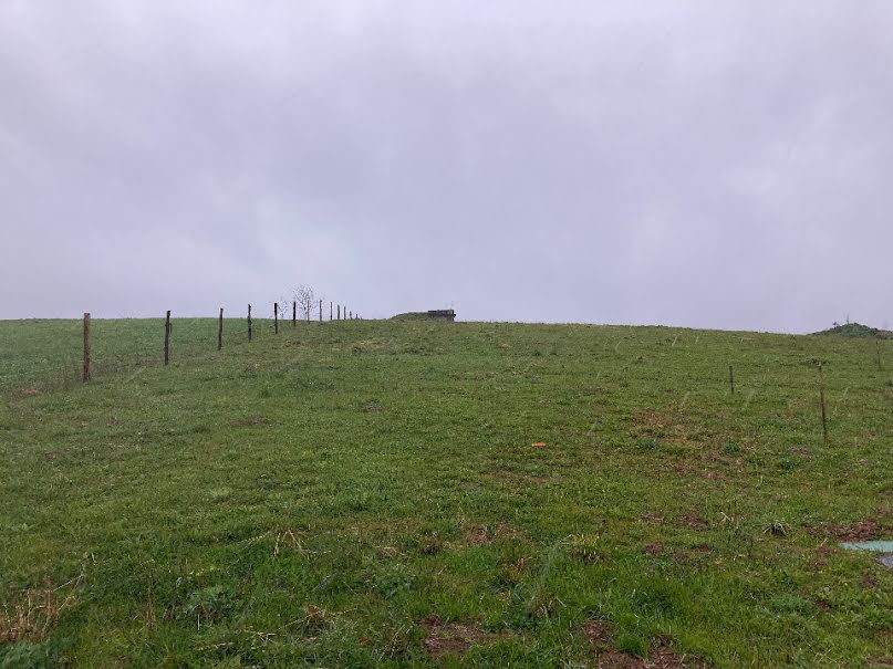 Vente terrain  790 m² à Lafeuillade-en-Vézie (15130), 30 810 €