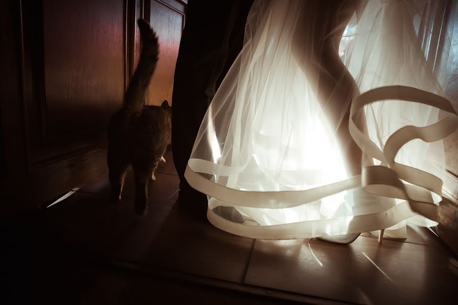 婚禮攝影師Yuriy Koryakov（yuriykoryakov）。2015 1月25日的照片