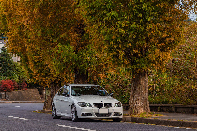 3シリーズ セダンのE90・BMW3シリーズ・紅葉・イチョウ並木に関するカスタム事例の投稿画像1枚目