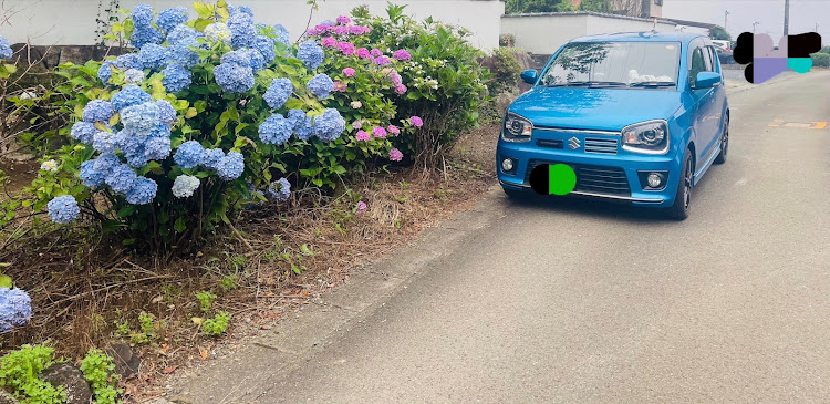 アルトワークスの６月も宜しくお願いします・HA36S・あじさいコラボに関するカスタム事例の投稿画像1枚目