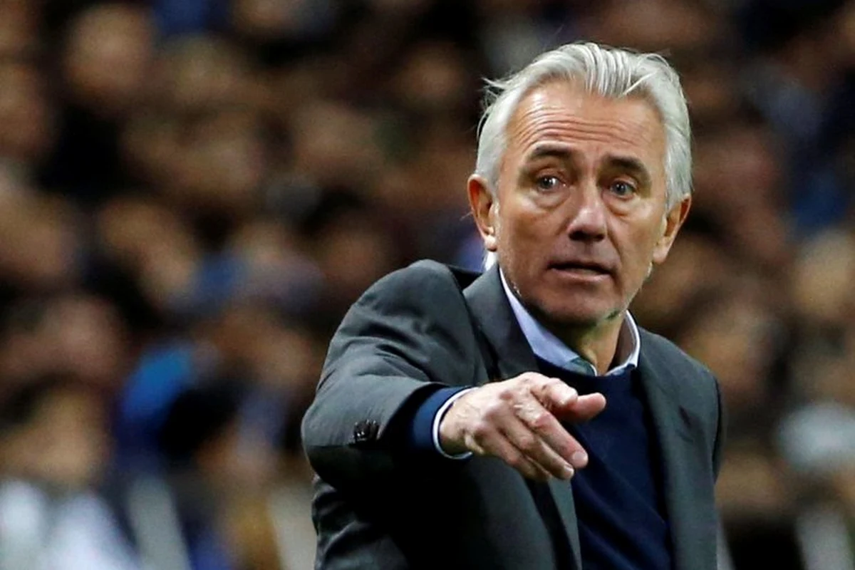 Bert Van Marwijk retrouve de l'embauche