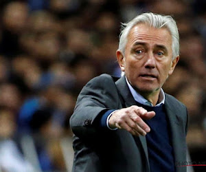 Bert Van Marwijk retrouve de l'embauche