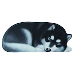 Cute dog 12