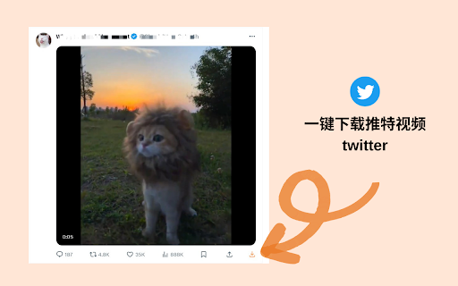 Twitter視頻下載