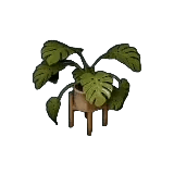 Houseplant Set