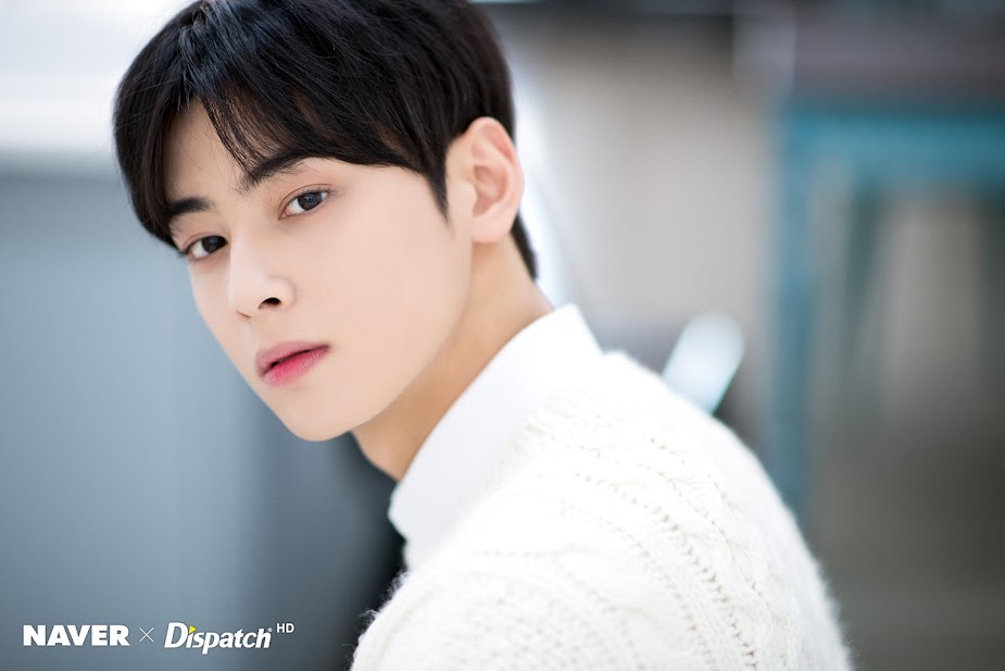 Cha-Eun-Woo